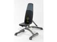 £50 - GOLDS GYM Maxi Dumbell Bench