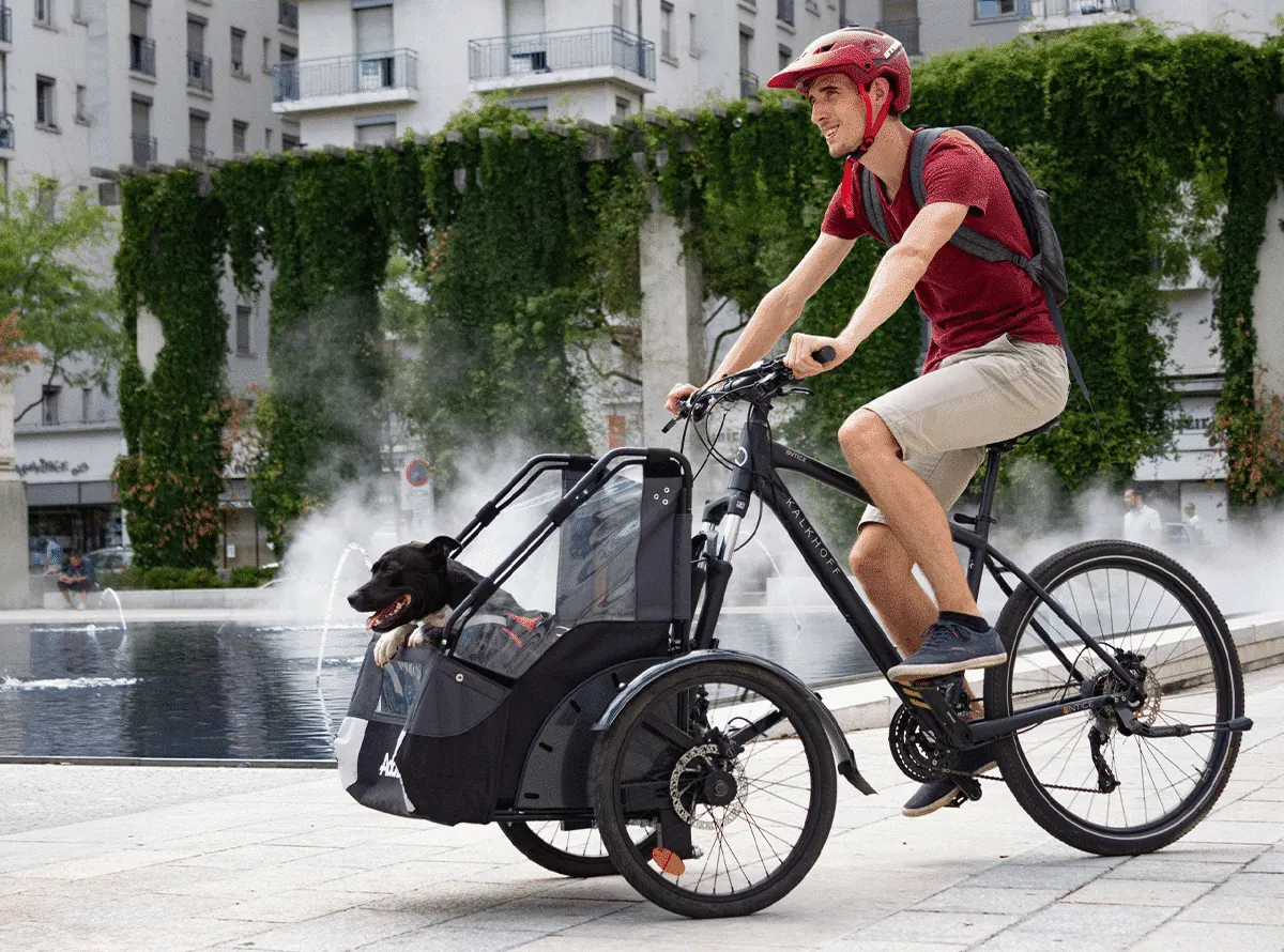 Dog Bike Trailer with free delivery in UK